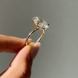 The Viral Hailey Ring