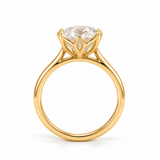 The Hailey Oval Solitaire Ring (5 Carat)