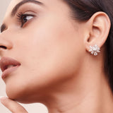 Patricia stud