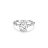 Kiara  Ring (Hidden Halo)